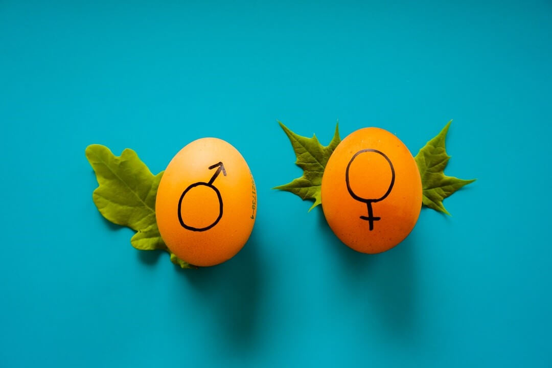 what-is-gender-fluidity-healthgardeners