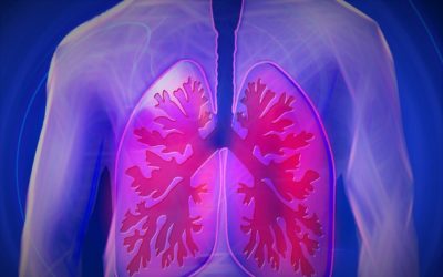 Differences Between Lung Cancer and Mesothelioma