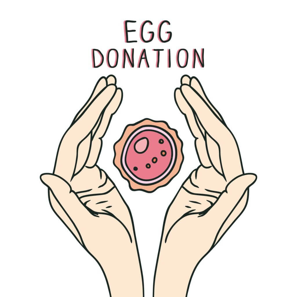 Everything You Need to Know About an Egg Donor HealthGardeners