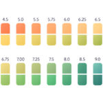 What Color Is Saliva on Litmus Paper?